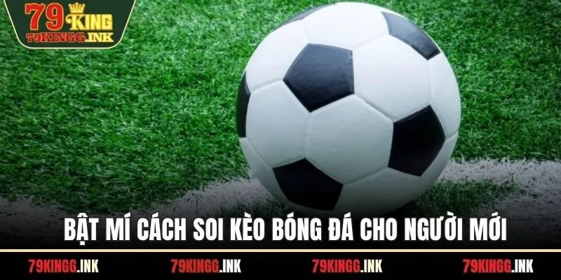 Bật mí cách soi kèo bóng đá cho người mới
