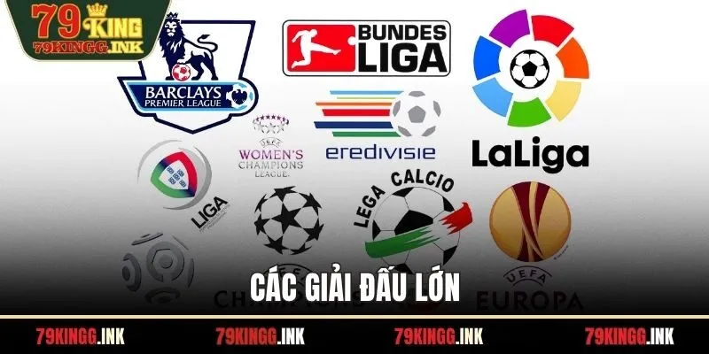 Các giải đấu lớn