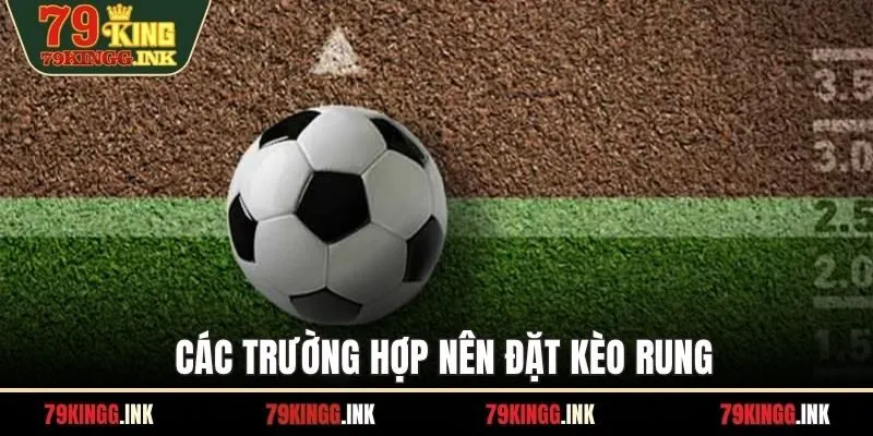 Các trường hợp nên đặt kèo rung